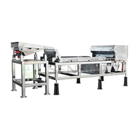 Machine de tri optique à caméra CCD haute précision pour le recyclage du plastique, du verre et du métal