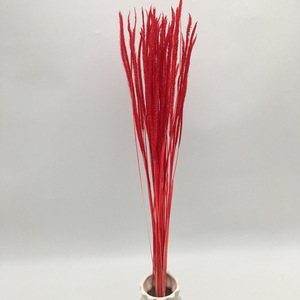 Fleur Style Nordique Fleur Décoration Roseaux Naturel Séché Pampas <span class=keywords><strong>Herbe</strong></span> Petit Pour Mariage Maison Déco - Product Image 6