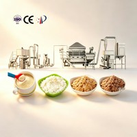 Ligne de production entièrement automatique de poudre nutritionnelle/amidon modifié 200-300 kg/h pour céréales de riz infantiles