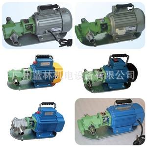 Pompe à huile miniature en acier inoxydable WCB-30, pompe à engrenages auto-amorçante manuelle, anti-explosion, pour unité de pompage de pétrole - Product Image 5