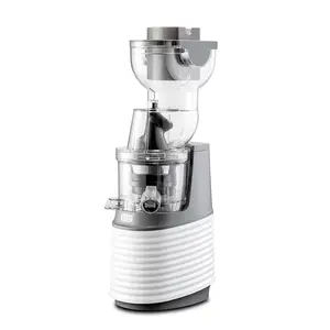 Stainless Steel Machine Fruit Vegetable Juicers Orange Blender Cold Pressed Fruit Dispenser Commercial Slow Juicer