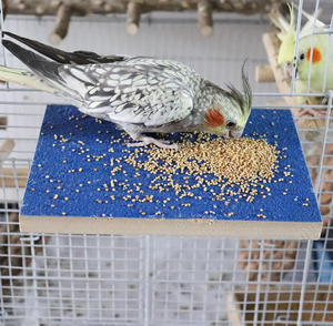 แท่นนั่งนกขนาดใหญ่ที่เป็นมิตรกับสิ่งแวดล้อมและของตกแต่งกรงสัตว์ขนาดเล็ก โครงไม้สี่เหลี่ยมธรรมชาติ - Product Image 4