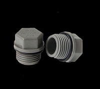 Bouchons d'extrémité de tuyau en PVC de fabrication en usine 1/2 '',3/4'',1 ''Raccords à filetage mâle pour tube de jardin Connecteur de tuyau Waterstop