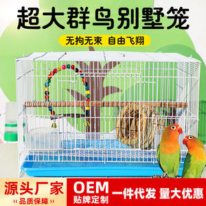Cage à oiseaux rectangulaire en métal durable pour l'élevage de perruches, calopsites, mynas, moineaux de Java et agapornis - Product Image 5