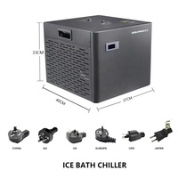 Pompe de refroidissement d'eau extérieure automatique 0,3 CV, machine à bain de glace portable pour récupération sportive, télécommande, économie d'énergie
