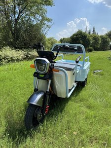 Tricycle cargo électrique pour personnes âgées, conforme aux normes nationales, avec <span class=keywords><strong>plaque</strong></span> d'<span class=keywords><strong>immatriculation</strong></span> transfrontalière - Product Image 5