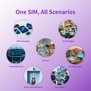ซิมการ์ด M2M IoT สำหรับของเล่น AI และอุปกรณ์ที่ใช้ข้อมูลต่ำ แพ็กเกจรายเดือนแบบยืดหยุ่น ใช้งานได้ทั่วโลก ไม่มีค่าธรรมเนียมการเปิดใช้งาน - Product Image 3