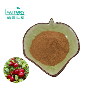 Bearberry lá chiết xuất bột 20:1/ <span class=keywords><strong>Uva</strong></span> Ursi/chiết xuất chất lượng cao tươi hàng hóa Cổ Phiếu lớn nhà máy cung cấp - Product Image 2