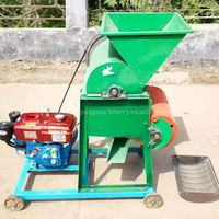 Décortiqueur de graines de ricin de grande capacité Camellia Oleifera Beans Shell Removal Peeler Huller for Oil Extraction Small Farm Use
