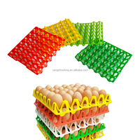 ZZ LMC08 Plateaux à œufs en plastique empilables de haute qualité et durables pour élevages de volailles, pour 30 œufs