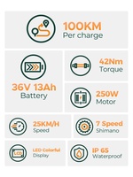 EU-Lager Hillmiles MileCity 1 Skinny Bike Direktpreis ab Werk 250W E-Bike mit tiefem Einstieg Elektrofahrrad 26 Zoll Reifen E-Bike