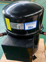 Compresor de Refrigeración de Pistón Bristol H2NG294DPEF H2NG294DBEF para Aire Acondicionado