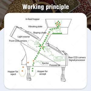 Sea Buckthorn Fruit Smallet Color Sorter Basmati Rice Agricultural Machine for <b>Lentil</b> - Product Image 3