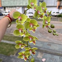Nouvelles fleurs artificielles d'orchidée Phalaenopsis imprimées en 3D, 2 tiges, toucher réaliste, pour décoration de mariage, de remise de diplôme et de maison
