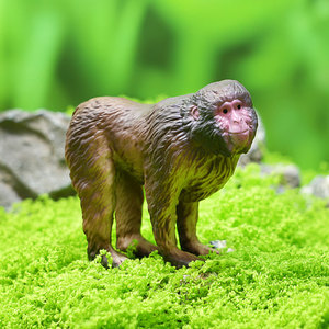 Nuovi Modelli di Simulazione di Animali Selvatici Transfrontalieri in PVC: Scimmia Lemur, Scimmia Bonobo, Orangutan, Scimmia Ragno, Macaco, Babuano, Scimmia a Coda Lunga - Product Image 3