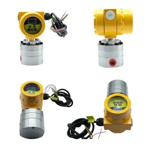 Shanghai JSN Micro Oval Gear Flowmeter Aviation Kerosene Gasoline Petrol Flowmet Fluid Meter Lubricating Grease Oil Flow Meter