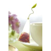 Tea Forte Petite Boîte de présentation aux herbes assorties Coffret cadeau pour thé