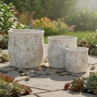 Pots à fleurs en ciment légers de style nordique, design classique et simple, imperméables, écologiques, vente en gros, jardinières
