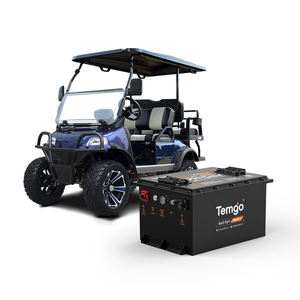 TEMGO OEM LiFePO4 ゴルフカートバッテリー 48v 100AH 5000サイクル UTV ATV用 - Product Image 1