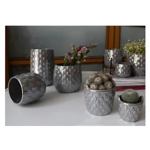 Vaso da fiori e pianta in ceramica di Cactus rotondi di alta qualità