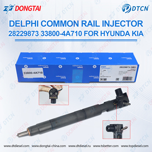 Kia dizel otomobiller için DongTai <span class=keywords><strong>DeLPH</strong></span> I yüksek basınçlı enjektör 28229873 33800-4A710-ISO/CE sertifikalı - Product Image 2