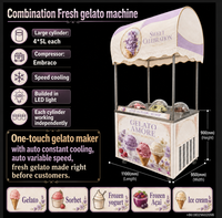 Machine à Gelato Tout-en-un 2-en-1 : Pasteurisateur et Congélateur par Lot Automatique, pour Crème Glacée Dure, Idéale pour Cafés et Restaurants