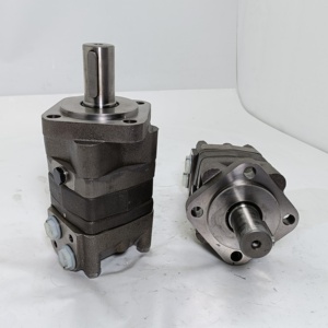 Motor de plataforma de perforación OMS80 OMS130 OMS200 OMS250 OMS315 OMS500 OMS400151F0605 OMS200151F0570 OMS160 151F0503 Motor de órbita hidráulica - Product Image 2