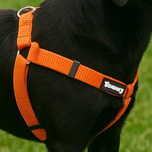 Harnais pour chien triangulaire en nylon Yommy, réglable, anti-traction, confortable, léger, avec boucles rapides - Product Image 1
