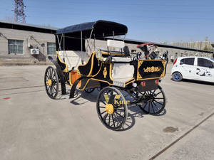 Chariot à chevaux familial, spacieux et durable, parfait pour les sorties, les pique-niques et les aventures en famille en plein air - Product Image 1