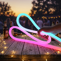 Guirlandes lumineuses LED pour intérieur et extérieur, IP44, pour mariage, hôtel, décoration de plafond
