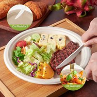 Ensemble de vaisselle jetable Vaisselle biodégradable Assiettes en papier bagasse compostables Fourchettes extra longues, couteaux et cuillères pour fête