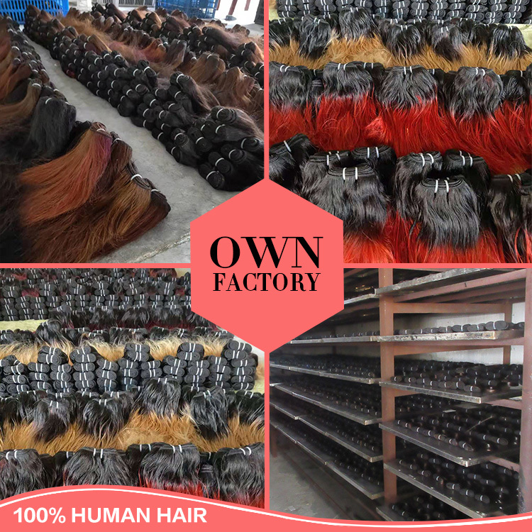 Vietnamiens crus Birman Cheveux Non Transformés Vierge Naturelle Droite et Ondulés Cheveux Vendeurs Vietnamiens