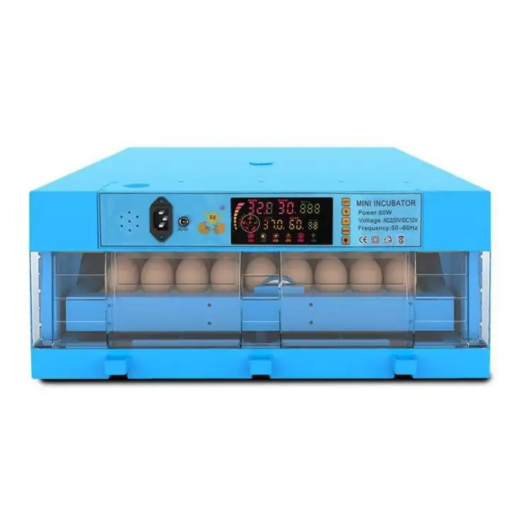 Varie capacità doppia potenza 12V 220V incubatrici per uova pollame pollo uccello uova da cova uova da cova incubatrici