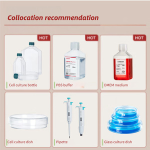 Labshark Tae <span class=keywords><strong>BUFFER</strong></span> สำหรับกรดนิวคลีอิก agarose gel electrophoresis-acetic Acid-EDTA acetate boric Acid Lab Supplies - Product Image 6