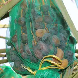 准备发货PE枣包装袋日期水果盖袋出口到迪拜 - Product Image 1