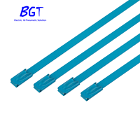 Attache de câble à revêtement époxy en acier inoxydable 316 Attaches de câble autobloquantes utilisées pour les machines, les câbles, les tuyaux ainsi que la reliure extérieure