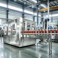 Turnkey complete tomatenproductielijn, complete set machines voor tomatenpuree, ketchup en tomatensap.