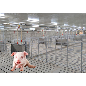 Pluma de guardería de casa de engorde de cerdo personalizada profesional para pluma de guardería de lechones - Product Image 2