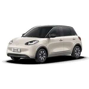 China en stock barato mini EV coche 2023 333km 4 asientos Wuling Bingo vehículos de nueva energía