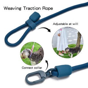 Correa de nailon resistente e impermeable para mascotas con logotipo personalizado con asa acolchada - Product Image 1