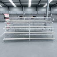 Nouvelle cage à poules automatique en forme de A, en acier galvanisé, à 4 niveaux, système d'élevage avicole, durée de vie de 7 à 10 ans