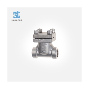 Chất lượng cao nhà sản xuất chuyên nghiệp thép không gỉ đông lạnh nâng kiểm tra van để DGF-15A - Product Image 1