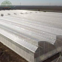Serre à fenêtres en forme de dents de scie SUNSGH pour tomates