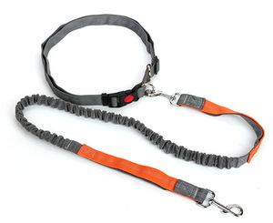 Bungee Pet Leash Retract able Nylon Hände frei Hunde leine für Dog Walking Running - Product Image 3