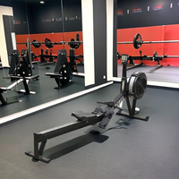 Máquina de Remo Profesional para Gimnasio, Equipo de Fitness Cardiovascular para Uso Comercial en Interiores