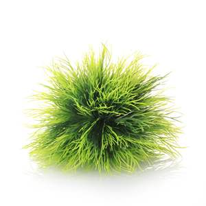 Moderne Gesimuleerde Waterplanten Voor Nieuwe <span class=keywords><strong>Aquarium</strong></span> Directe Fabrieksverkoop Echte Waterpartijen Woonkamer Landschapsarchitectuur Plastic - Product Image 5