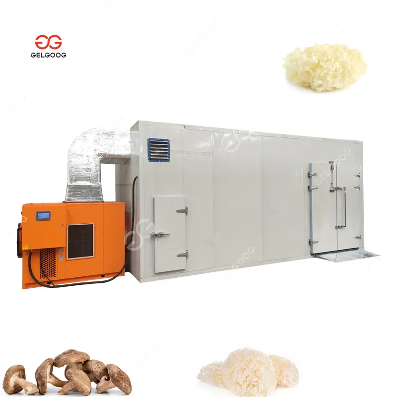 Mesin pengering jamur putih, mesin pengering jamur putih dehidrator pompa panas berkualitas tinggi