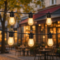 Lampu Festoon LED Grosir untuk Luar Ruangan, Tahan Lama IP65, Kabel Hitam 14.4M, 15 Soket E27, Bohlam S14 G60 2700K untuk Plaza Komersial