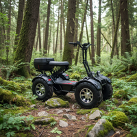 Trottinette électrique tout-terrain unisexe pour adultes 10000W 60V 60Ah, VTT pliable, nouvelle condition, chariots de golf électroniques intelligents pour la mobilité