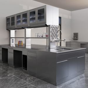 Muebles de Laboratorio Ignífugos, Banco de Trabajo de Patología de Acero Inoxidable, Banco de Pruebas de Laboratorio - Product Image 5